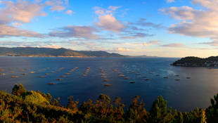 El chollo de la semana; 7 noches en las Rías Baixas por 79€