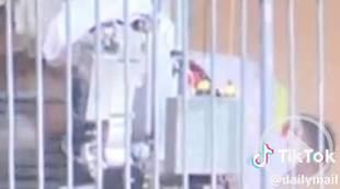 Un robot policia acorrala a un hombre atrincherado