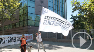 Aprobada la Ley de “sacrificio cero” de animales de compañía