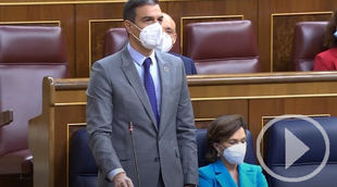 Sánchez a Casado: "Se le está poniendo cara de Albert Rivera"