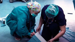 'The New York Times' dedica su portada a los "sanitarios kamikazes" españoles