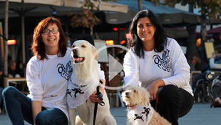 El 30 de Diciembre Madrid vivirá su quinta Sanperrestre