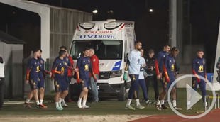 La selección rumbo a Catar para disputar el mundial de fútbol