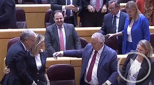 El PP veta la amnistía en el Senado y la devuelve al Congreso