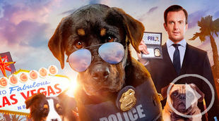 Los estrenos de cine: "Superagente canino" y "Tully"