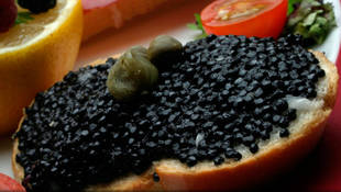 El restaurante José Luis abre su terraza pérgola "Corner Delicatessen"