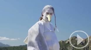 'La Vane', una gaviota que critica la llegada de turistas a las playas