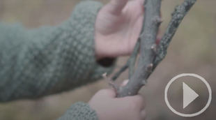 "Un Paso Adelante", el nuevo single de Oihan