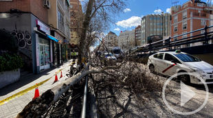 Cómo evitar accidentes con rachas de viento fuertes