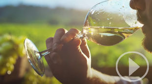 El vino, componente esencial de la dieta mediterránea