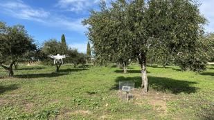 Drones e Inteligencia Artificial para mejorar el rendimiento de los cultivos