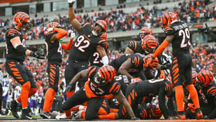 Cincinnati Bengals