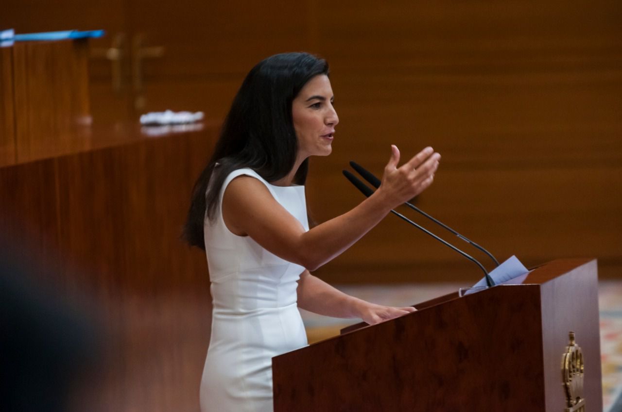 Monasterio, durante sus 30 minutos en el Pleno de la Asamblea (Foto: Chema Barroso)