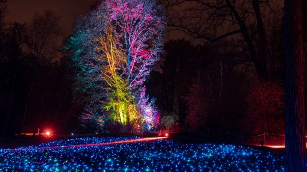Luces del Real Jardín Botánico @Christmas Garden Deutschland