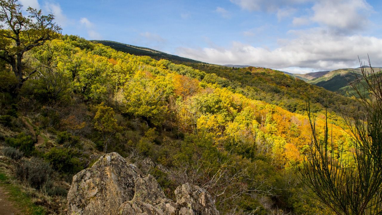 Otoño en el Hayedo de Montejo