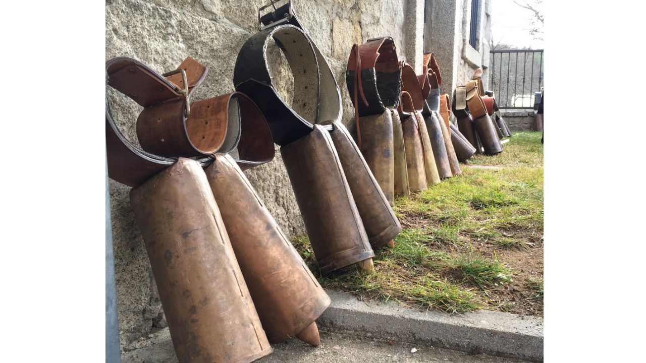 Cencerros usados por los participantes durante la carrera