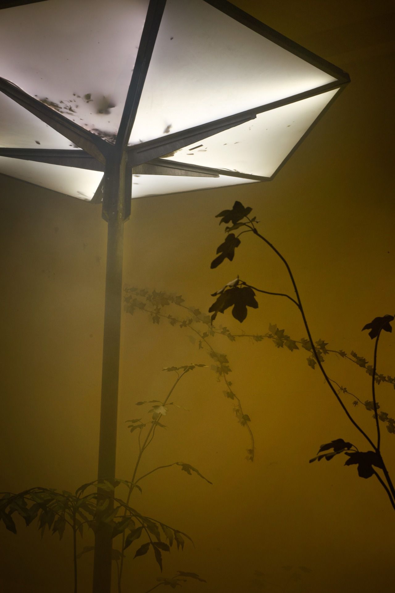 'El Despertar', de Álvaro Urbano. (Foto: Trevor Lloyd)