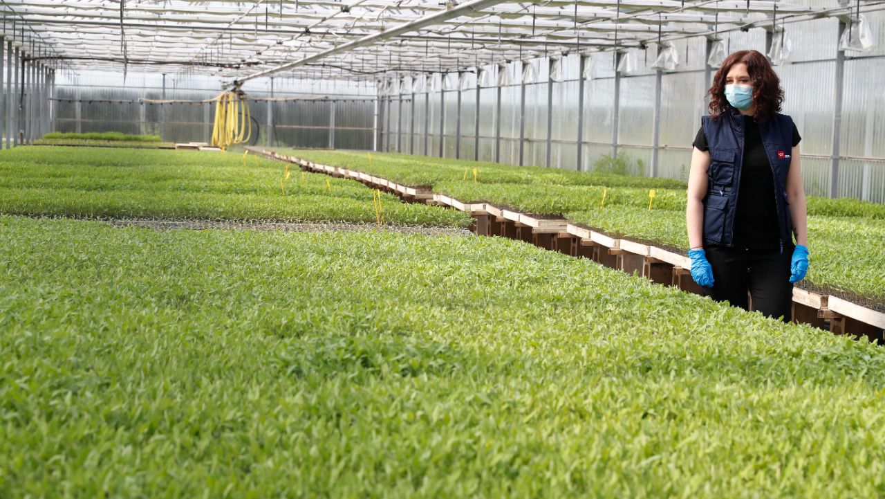 (Foto: Comunidad de Madrid)