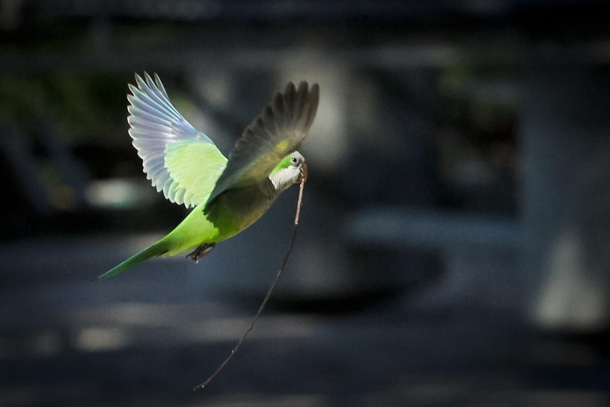 (Foto: Kike Rincón)