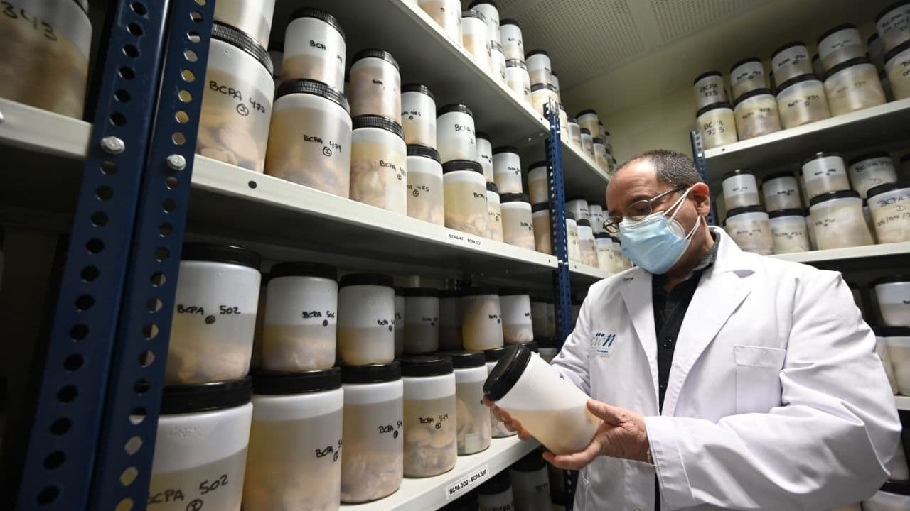 Alberto Rábano, en el Banco de Tejidos Cerebrales