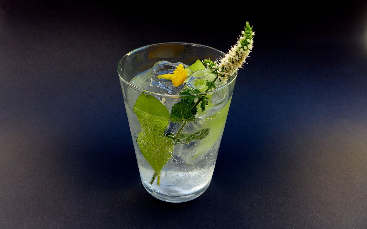 Gin Tonic Bus Stop