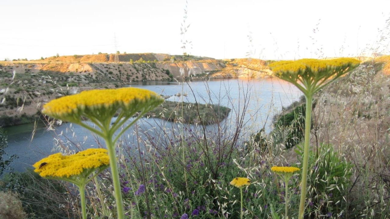 Lagunas de Ambroz. (Foto: Grupo de Trabajo para la protección y conservación de las Lagunas de Ambroz)