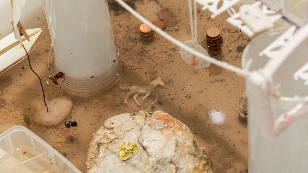 'Buen camino', la nueva exposición de Marina González Guerreiro (Autor: María González Guerreiro)