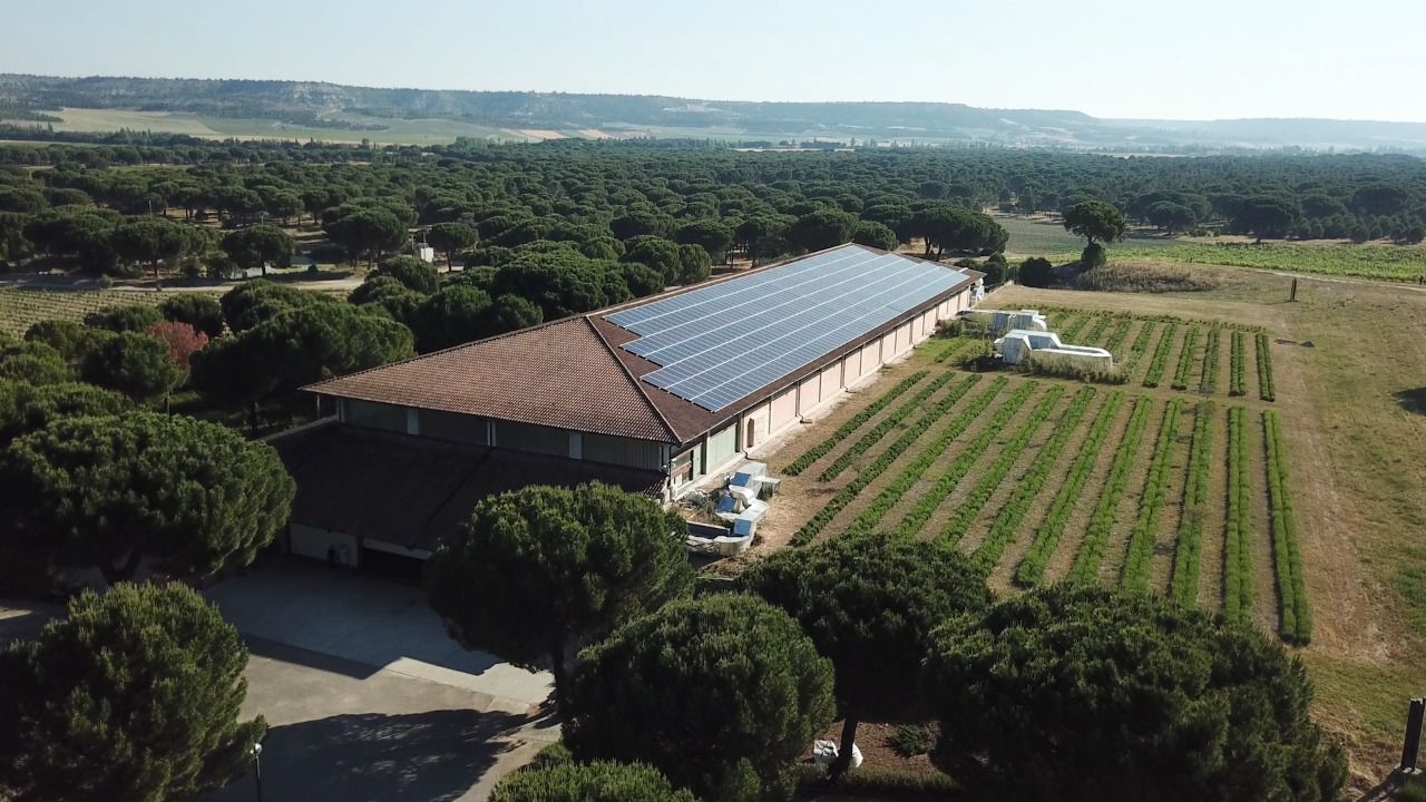 Instalación de autoconsumo solar de Iberdrola en Abadía Retuerta