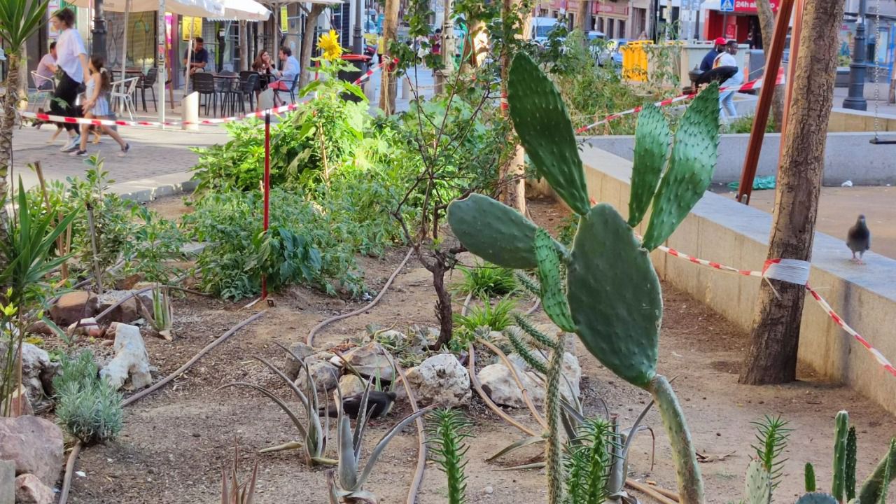 Huerto Vecinal Urbano Gloria Fuertes, en Lavapiés (Foto: Víctor Manuel Rodríguez-Izquierdo)
