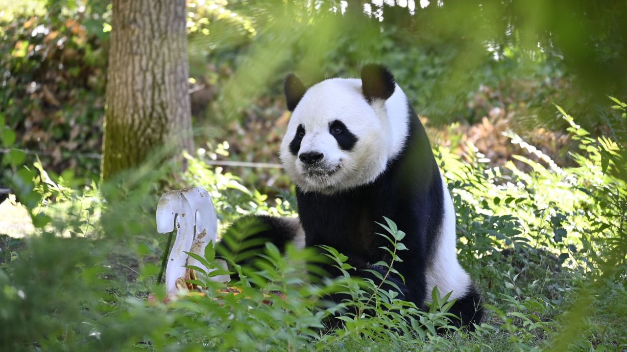 Foto: William Criollo