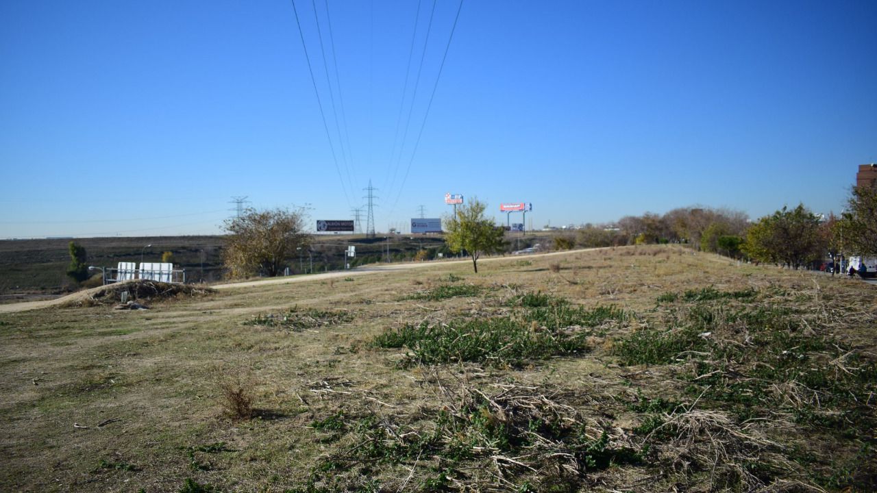 Parque Manolito Gafotas (Foto: Chema Barroso)