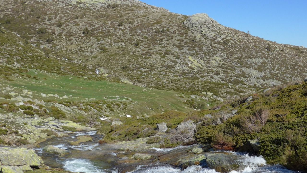Río Guadarrama