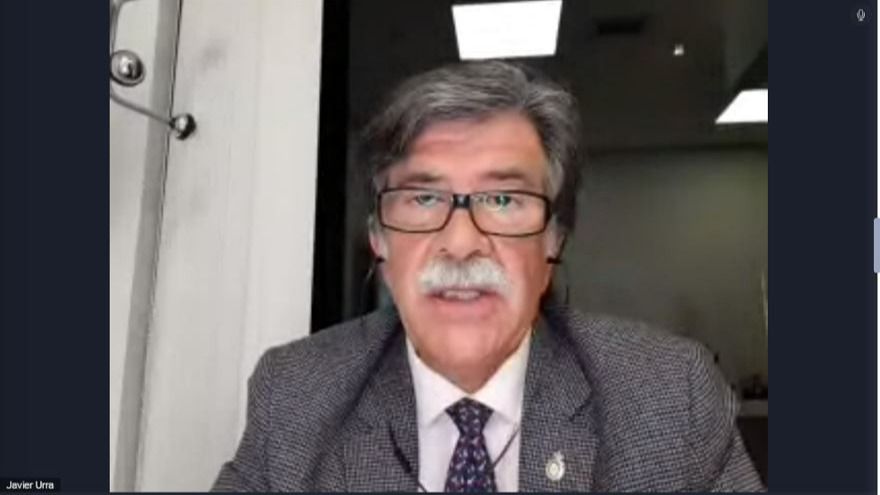Javier Urra durante el webinar. Foto: Recurra-Ginso