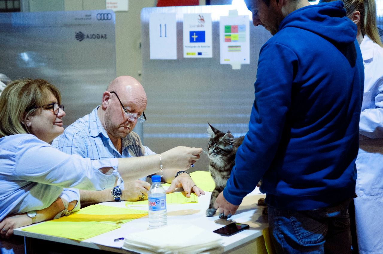 100x100 Mascota 2019 (Foto: Chema Barroso)