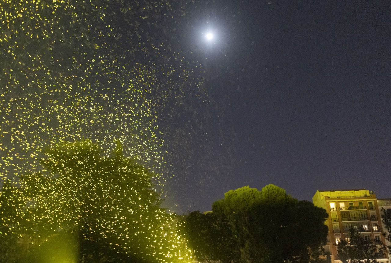 Espectáculo 'Spark' (Foto: Antonio Castro)