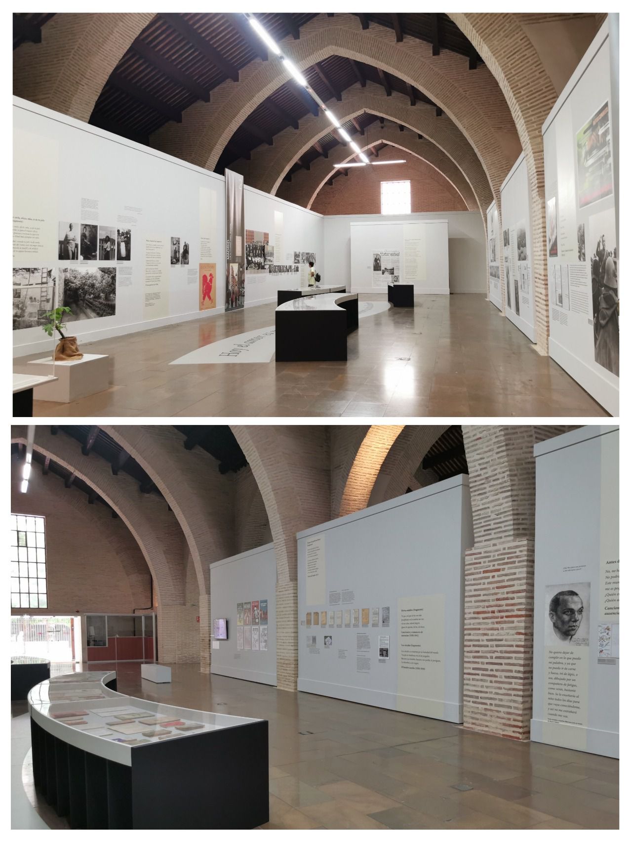 El poeta necessari, la muestra brinda un ameno y didáctico recorrido por la vida y obra hernandiana, básicamente en fotos y paneles de texto que cuelgan de las paredes de las naves, otrora guardería de remos y otros aparejos, vigiladas desde siglos por los elegantes arcos diafragmáticos y ojivales del gótico valenciano