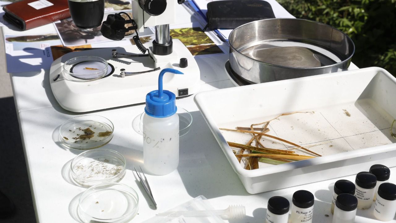 Métodos del estudio de la mosca negra a orillas del Manzanares. (Foto: Ayuntamiento de Madrid)