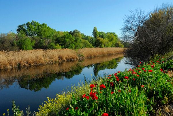 Río Jarama. (Foto: Ayuntamiento de Rivas)