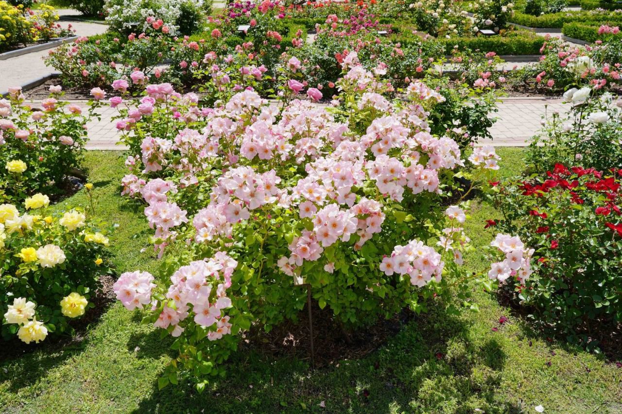 Foto: Ayuntamiento de Madrid