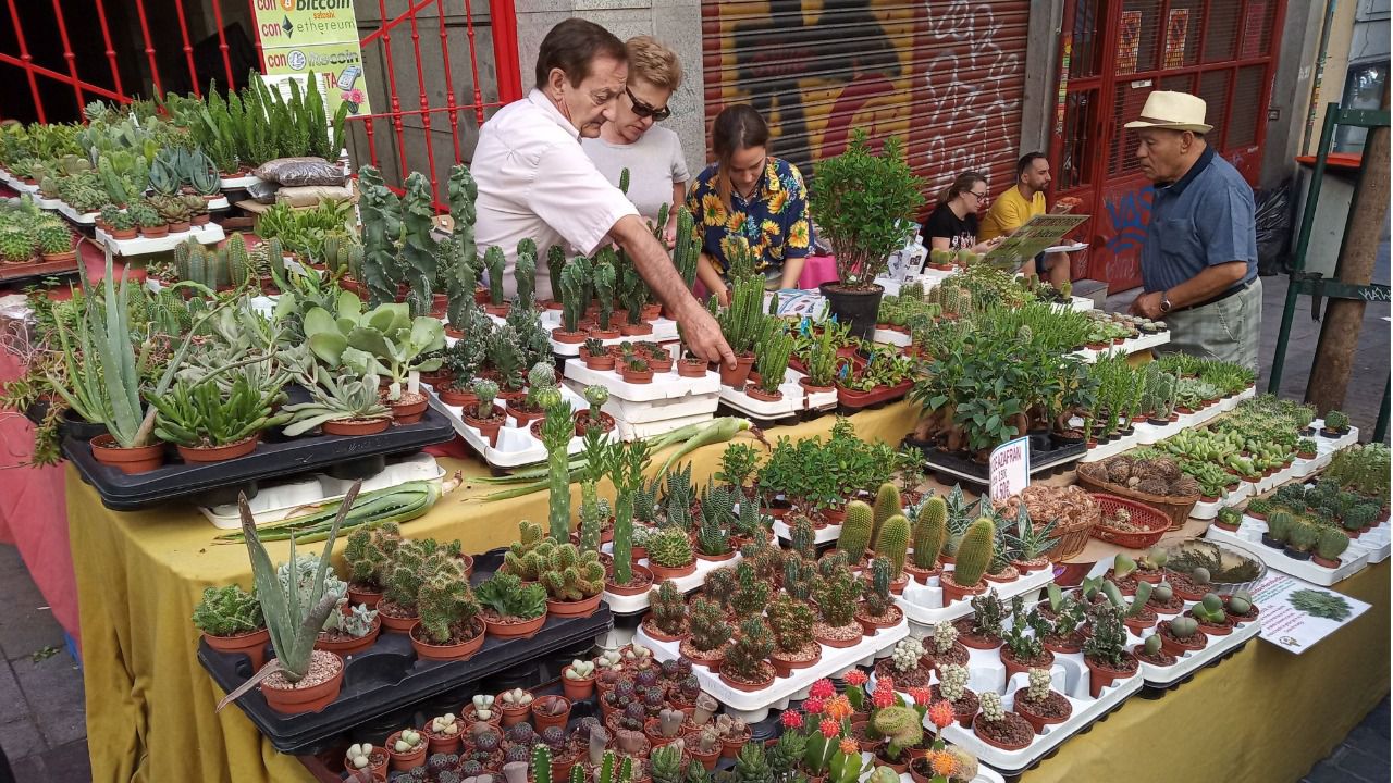 (Foto: Chema Barroso)