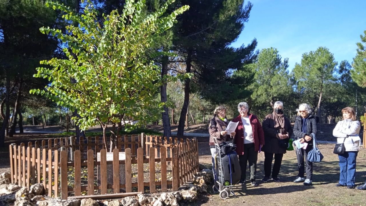 Algunas 'florecillas de El Pozo' en una acción contra las violencias machistas. Foto: FRAVM
