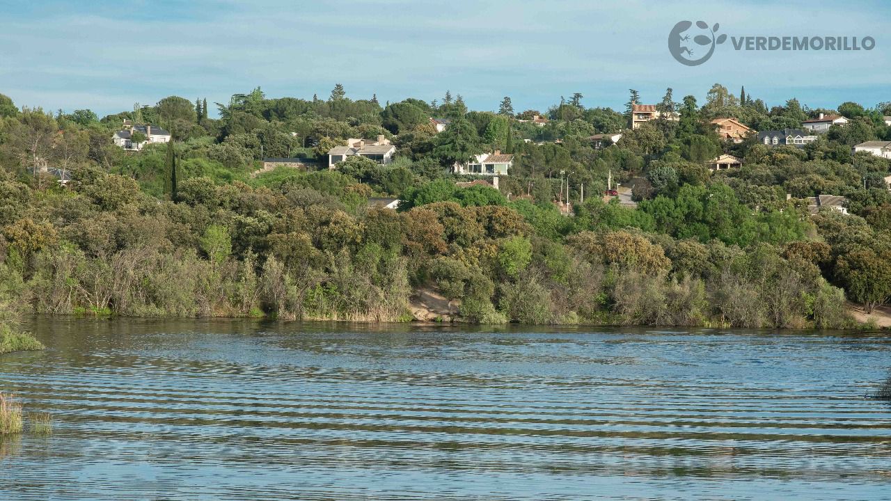 (Foto: Asociación Verdemorillo)