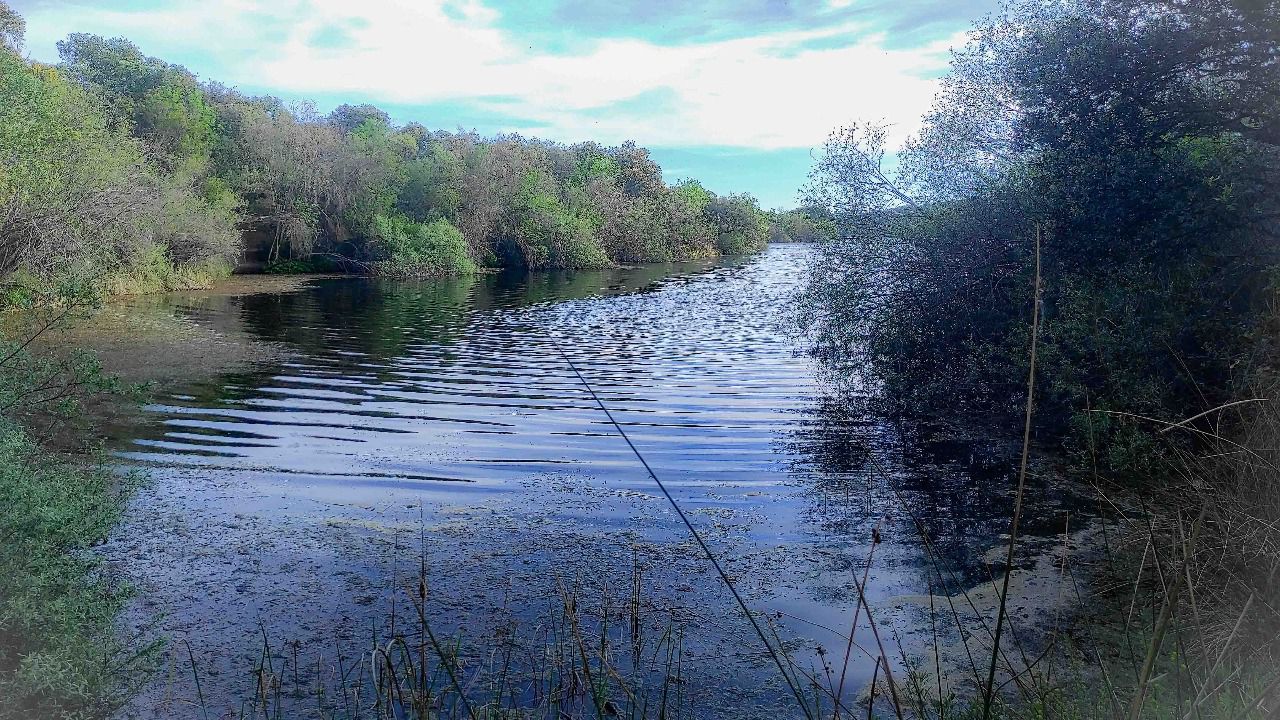 (Foto: Asociación Verdemorillo)