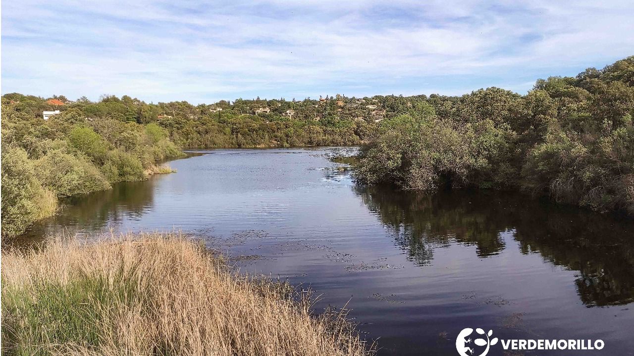 (Foto: Asociación Verdemorillo)