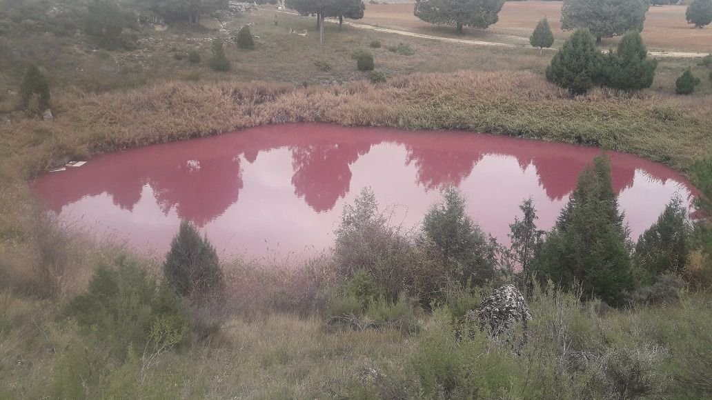 Lagunillo de las Tortugas en el Monumento Natural de las Lagunas de Cañada del Hoyo