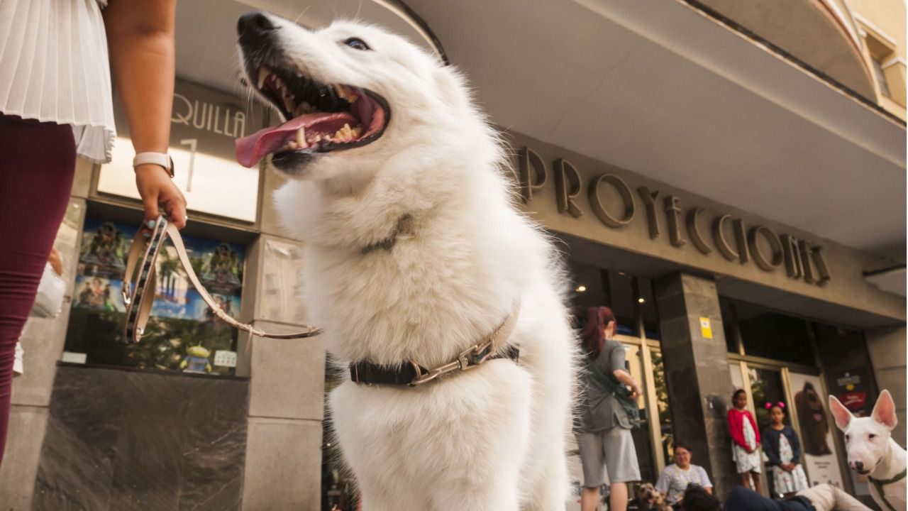 (Foto: Chema Barroso)