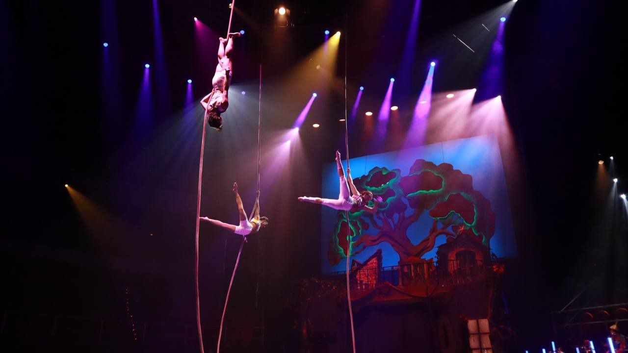 'La cas adel árbol' (Foto: Mónica González-Road Experience)