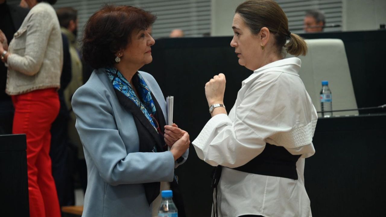 Marta Rivera de la Cruz durante el Pleno de Cibeles. Foto: Chema Barroso
