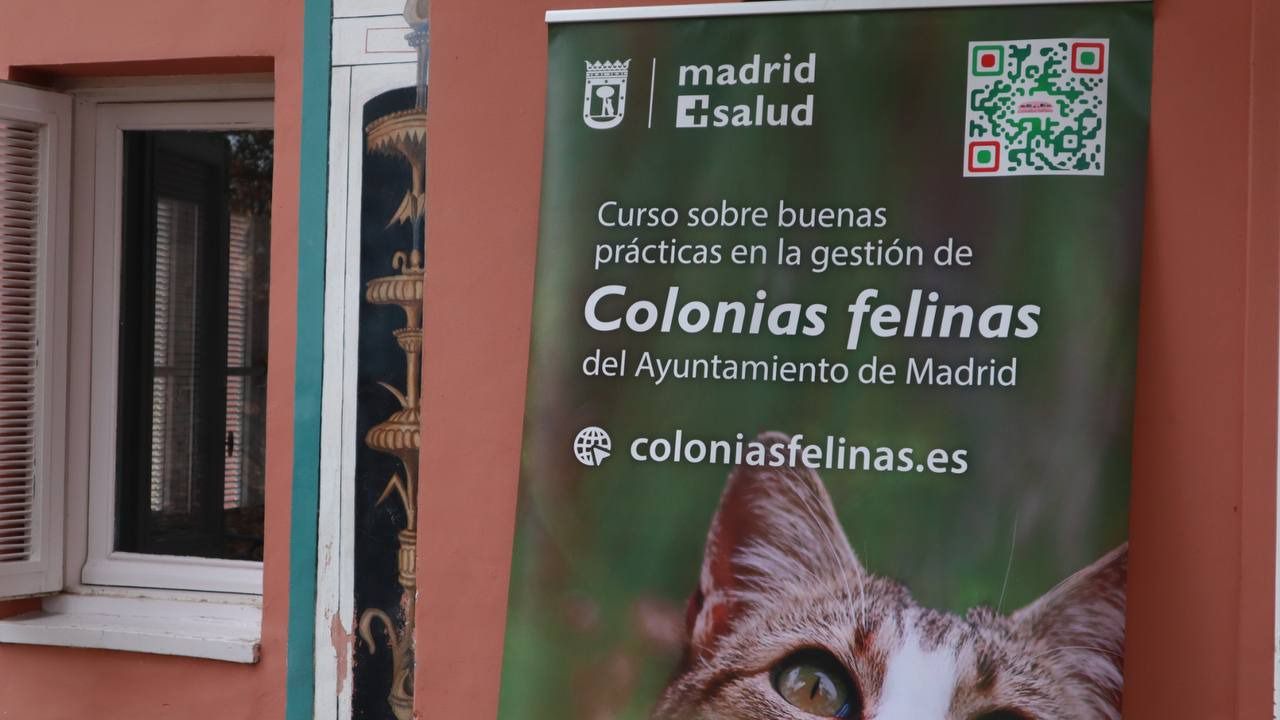 Centro de información sobre Colonias Felinas en la Casita del Pescador de El Retiro. Foto: Road Experiencie