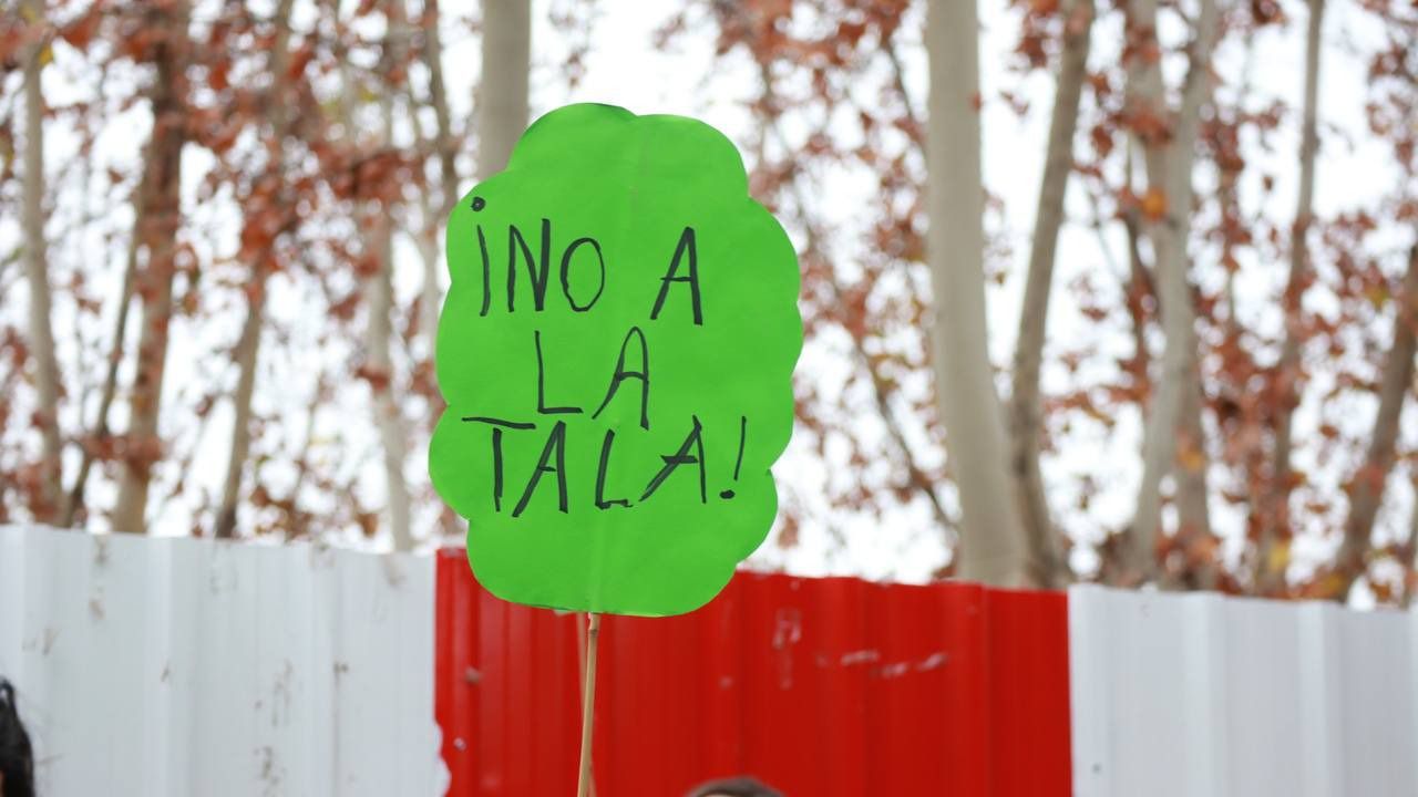 Cartel de 'No a la tala' el día que comenzaron los trabajos en el Parque de Arganzuela (Foto: Mónica González - Road Experience)
